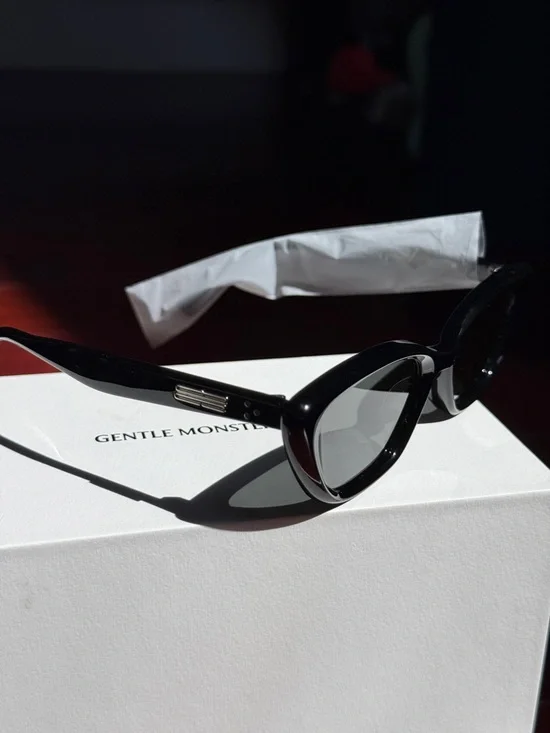 Gentle Monster Black Terra Cotta Sunglasses - Picture 4 of 10